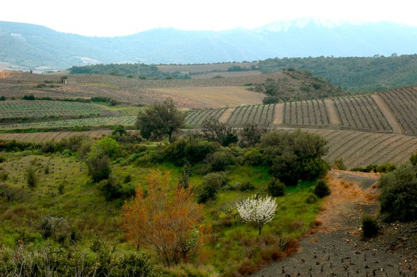 On the road around Cucugnan