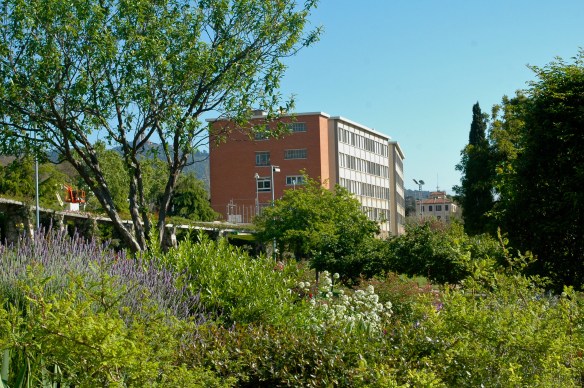 Institut Ausias March