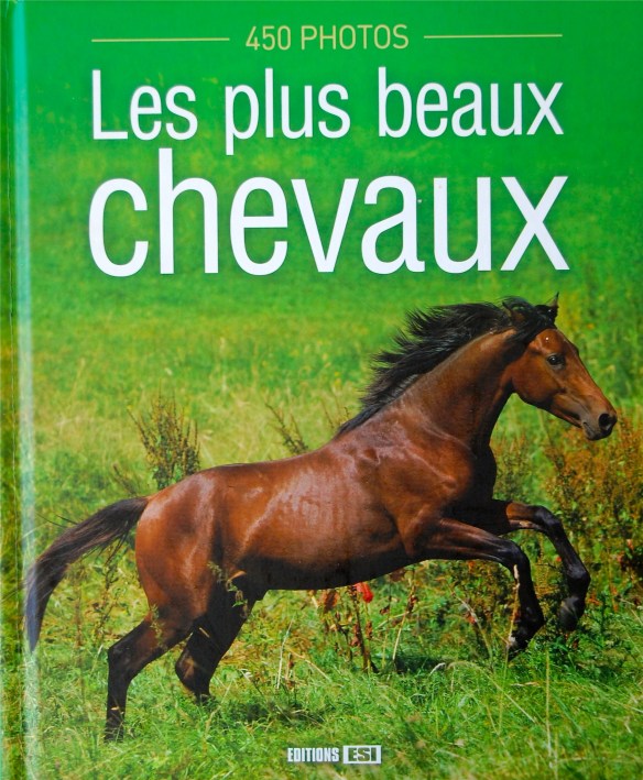 Les plus beaux chevaux