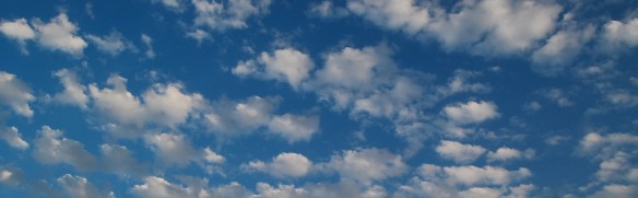 DSC_9915 - Version 2